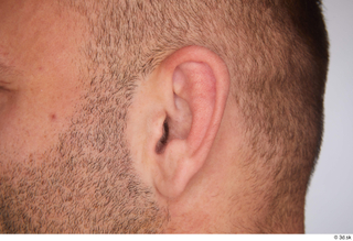 Garrott ear 0001.jpg